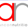 ancon logo 500 by 500